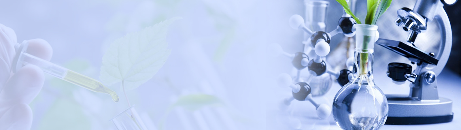 banner04